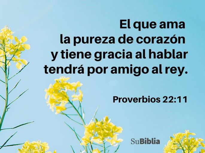 El que ama la pureza de corazón y tiene gracia al hablar tendrá por amigo al rey. (Proverbios 22:11)