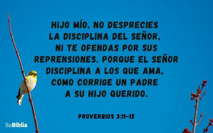 Hijo mío, no desprecies la disciplina del Señor ni te ofendas por sus reprensiones. Porque el Señor disciplina a los que ama, como corrige un padre a su hijo querido. (Proverbios 3:11-12)