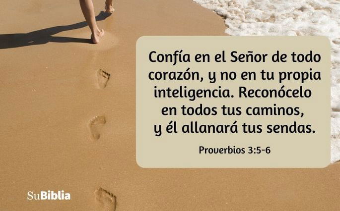 Confía en el Señor de todo corazón, y no en tu propia inteligencia. Reconócelo en todos tus caminos, y él allanará tus sendas. - Proverbios 3:5-6