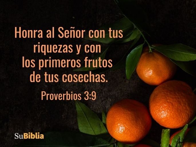 Honra al Señor con tus riquezas y con los primeros frutos de tus cosechas. (Proverbios 3:9)