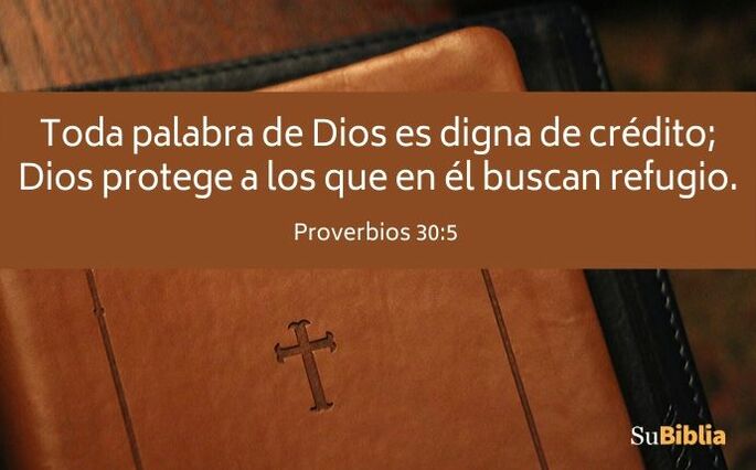 Toda palabra de Dios es digna de crédito; Dios protege a los que en él buscan refugio. (Proverbios 30:5)