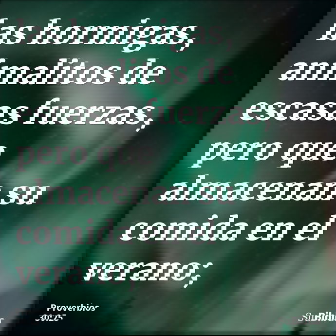 las hormigas, animalitos de escasas fuerzas, pero que almacenan su comida en el verano; --- Proverbios 30:25
