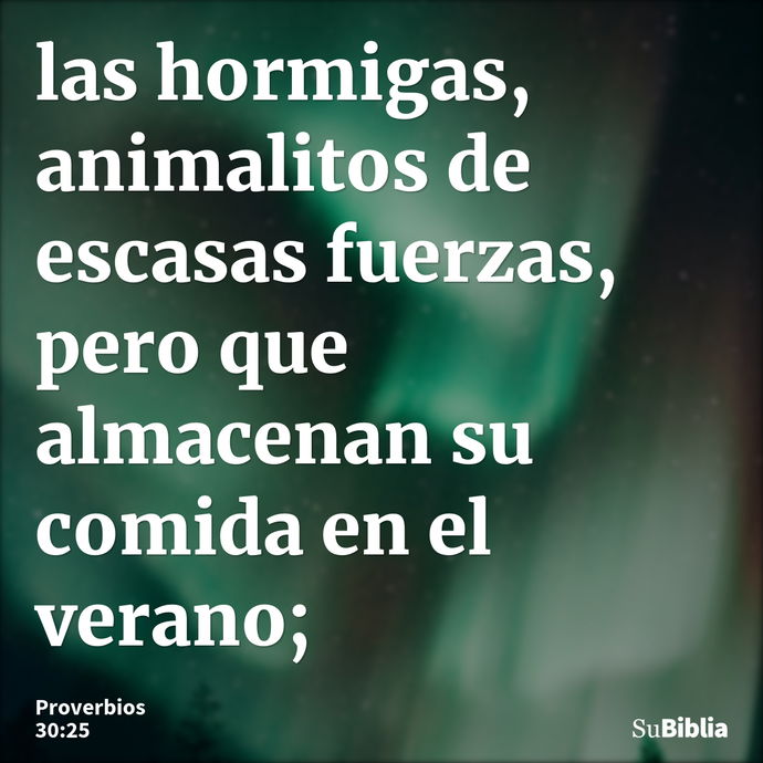 las hormigas, animalitos de escasas fuerzas, pero que almacenan su comida en el verano; --- Proverbios 30:25