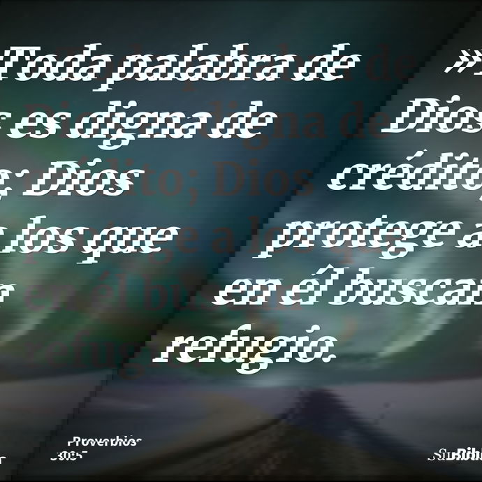 »Toda palabra de Dios es digna de crédito; Dios protege a los que en él buscan refugio. --- Proverbios 30:5