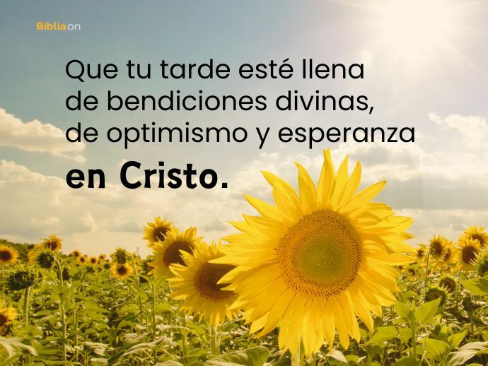 Que tu tarde esté llena de bendiciones divinas, de optimismo y esperanza en Cristo.