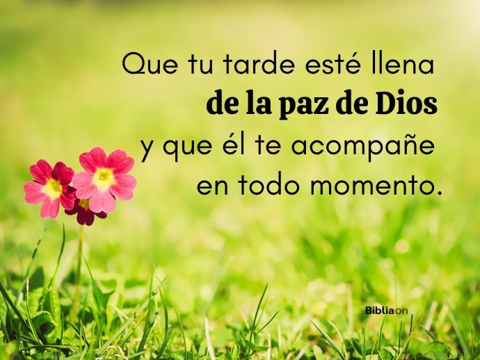 Que tu tarde esté llena de la paz de Dios y que él te acompañe en todo momento.