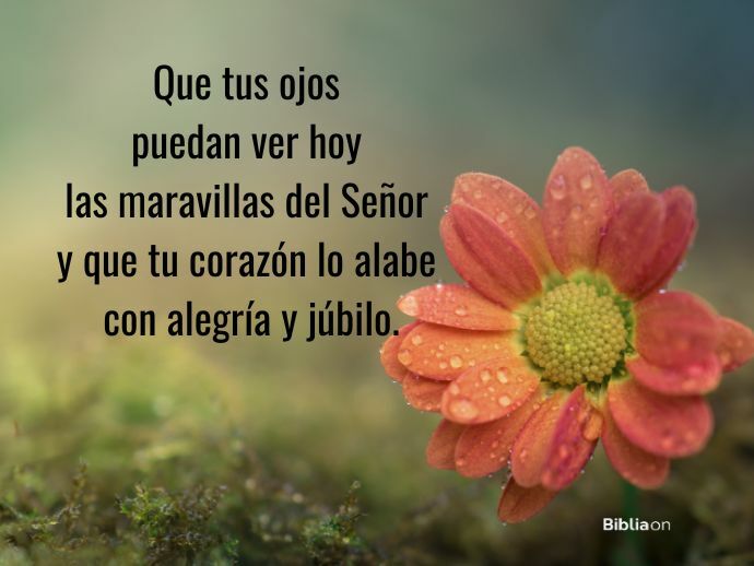 Que tus ojos puedan ver hoy las maravillas del Señor y que tu corazón lo alabe con alegría y júbilo.