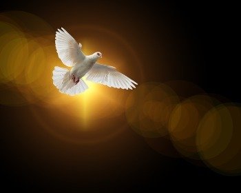 El Espíritu Santo en la Biblia: quién es y cómo nos ayuda