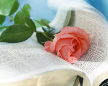 Resumen explicado del libro del Cantar de los Cantares de Salomón (estudio bíblico)