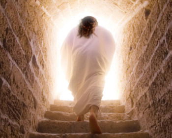 La resurrección de Jesús: la historia explicada (estudio bíblico)