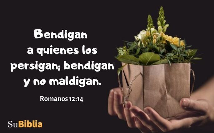Bendigan a quienes los persigan; bendigan y no maldigan. (Romanos 12:14)