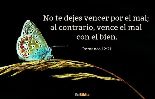 No te dejes vencer por el mal; al contrario, vence el mal con el bien. (Romanos 12:21)