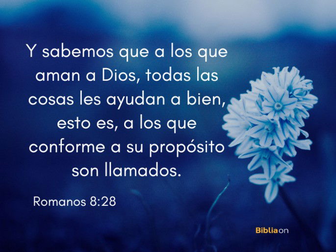 Y sabemos que a los que aman a Dios todas las cosas les ayudan a bien, esto es, a los que conforme a su propósito son llamados. (Romanos 8:28)