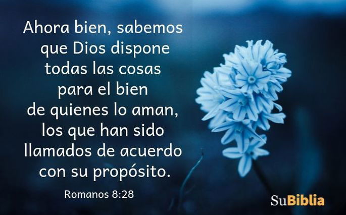 Ahora bien, sabemos que Dios dispone todas las cosas para el bien de quienes lo aman, los que han sido llamados de acuerdo con su propósito. (Romanos 8:28)