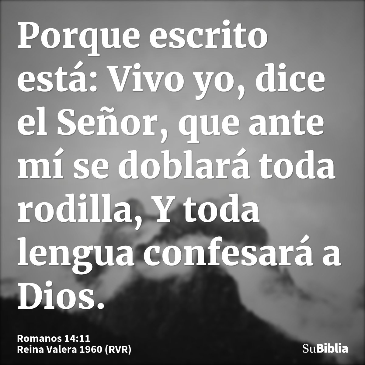 Porque escrito está: Vivo yo, dice el Señor, que ante mí se doblará toda rodilla, Y toda lengua confesará a Dios.