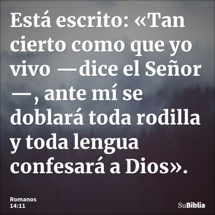 Está escrito: «Tan cierto como que yo vivo —dice el Señor—, ante mí se doblará toda rodilla y toda lengua confesará a Dios». --- Romanos 14:11