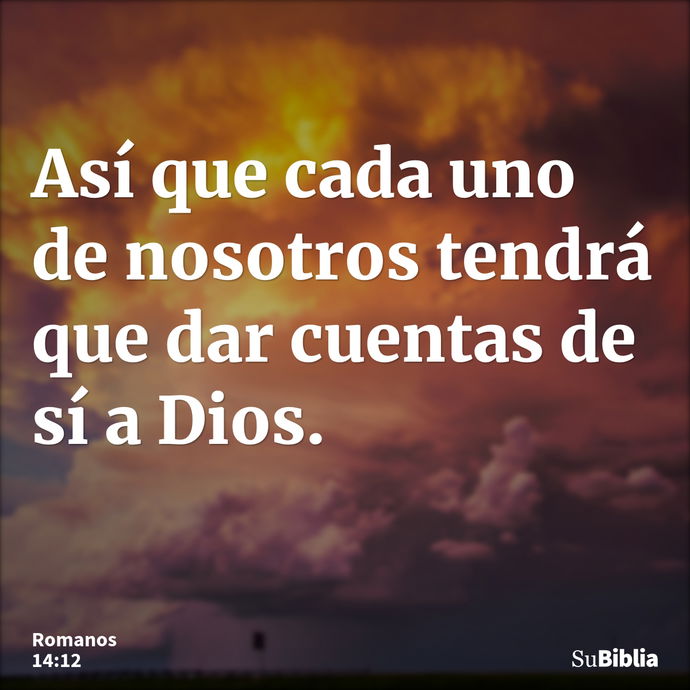 Así que cada uno de nosotros tendrá que dar cuentas de sí a Dios. --- Romanos 14:12