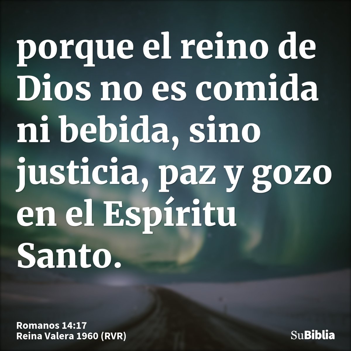 porque el reino de Dios no es comida ni bebida, sino justicia, paz y gozo en el Espíritu Santo.