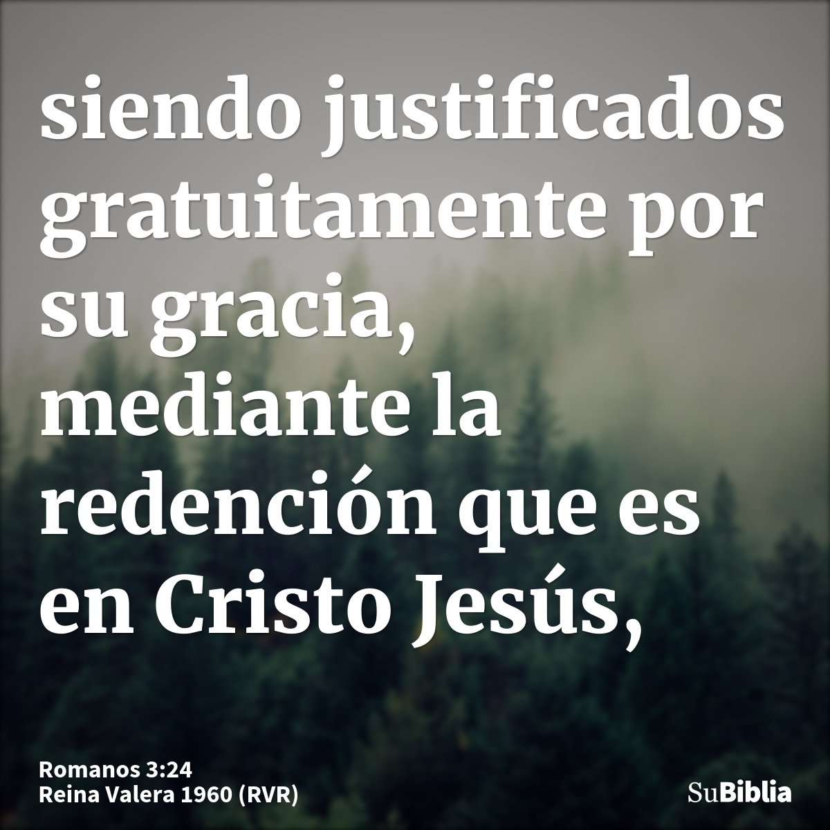 siendo justificados gratuitamente por su gracia, mediante la redención que es en Cristo Jesús,