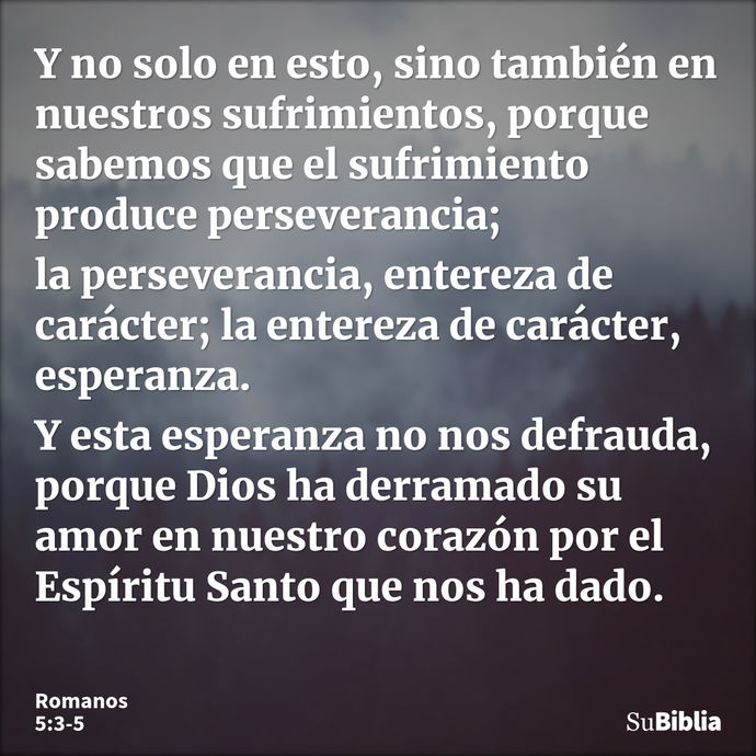 Y no solo en esto, sino también en nuestros sufrimientos, porque sabemos que el sufrimiento produce perseverancia; la perseverancia, entereza de carácter; la en... --- Romanos 5:3