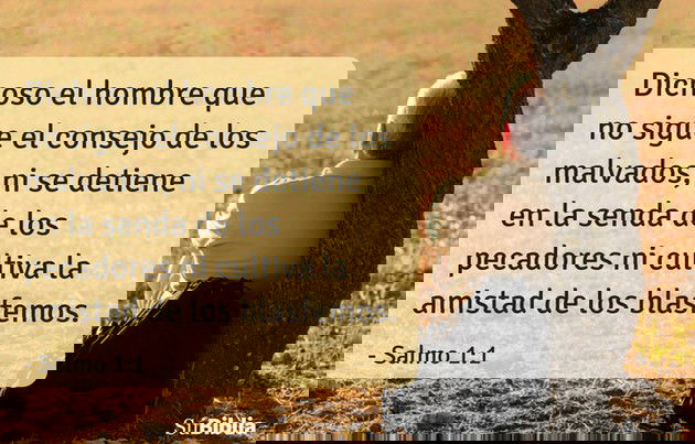 Dichoso el hombre que no sigue el consejo de los malvados, ni se detiene en la senda de los pecadores ni cultiva la amistad de los blasfemos. (Salmo 1:1)