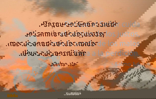Porque el Señor cuida el camino de los justos, mas la senda de los malos lleva a la perdición. (Salmo 1:6)