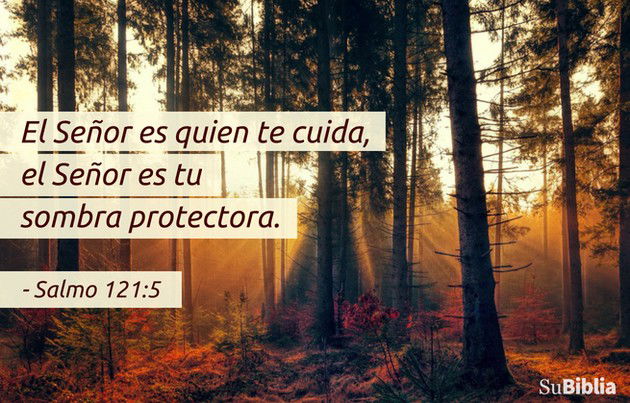 salmo 103 1-5 - Buscar con Google  Salmos de david, Salmos de proteccion,  Frases espirituales