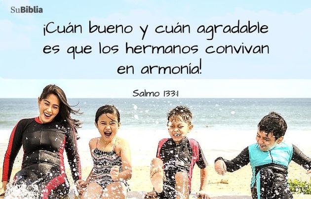 ¡Cuán bueno y cuán agradable es que los hermanos convivan en armonía! (Salmo 133:1)