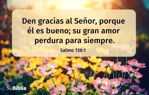 Den gracias al Señor, porque él es bueno; su gran amor perdura para siempre. (Salmo 136:1)