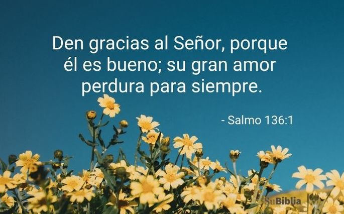 Den gracias al Señor, porque él es bueno; su gran amor perdura para siempre. (Salmo 136:1)