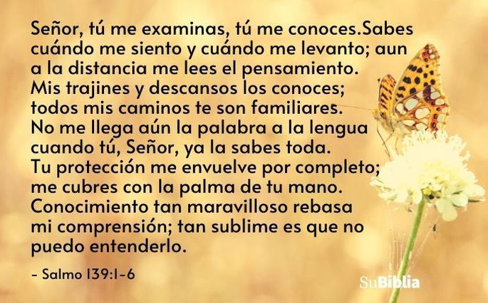 Señor, tú me examinas, tú me conoces. Sabes cuándo me siento y cuándo me levanto; aun a la distancia me lees el pensamiento. Mis trajines y descansos los conoces; todos mis caminos te son familiares. No me llega aún la palabra a la lengua cuando tú, Señor, ya la sabes toda.Tu protección me envuelve por completo; me cubres con la palma de tu mano. Conocimiento tan maravilloso rebasa mi comprensión; tan sublime es que no puedo entenderlo. (Salmo 139:1-6)