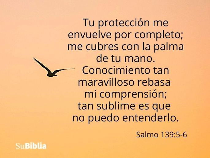 Tu protección me envuelve por completo; me cubres con la palma de tu mano. Conocimiento tan maravilloso rebasa mi comprensión; tan sublime es que no puedo entenderlo. (Salmo 139:5-6)