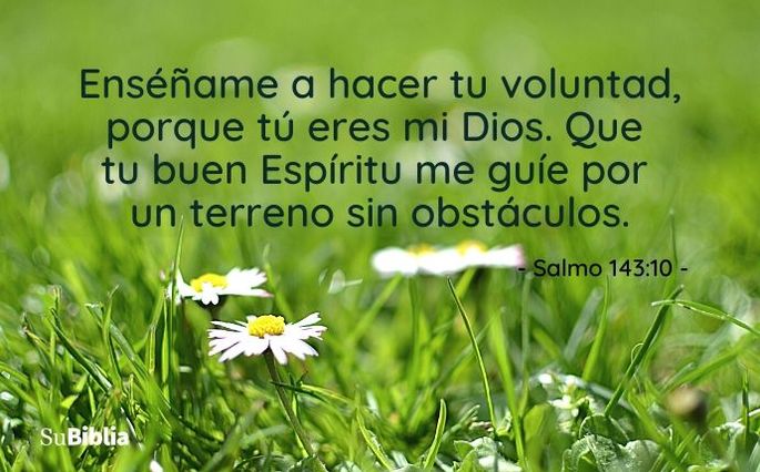 Enséñame a hacer tu voluntad, porque tú eres mi Dios. Que tu buen Espíritu me guíe por un terreno sin obstáculos. (Salmo 143:10)