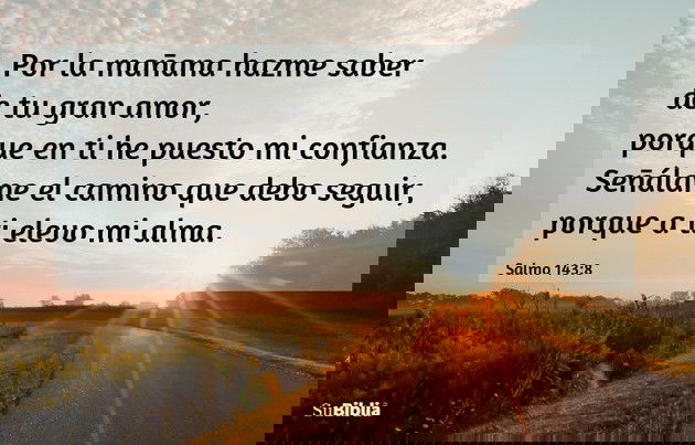 Por la mañana hazme saber de tu gran amor, porque en ti he puesto mi confianza. Señálame el camino que debo seguir, porque a ti elevo mi alma. (Salmo 143:8)