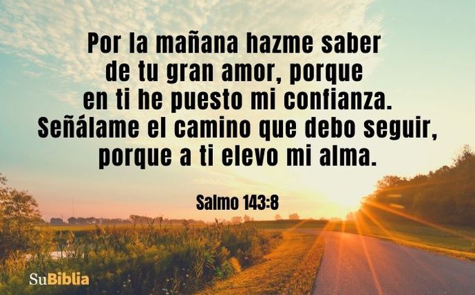 Por la mañana hazme saber de tu gran amor, porque en ti he puesto mi confianza. Señálame el camino que debo seguir, porque a ti elevo mi alma. (Salmo 143:8)