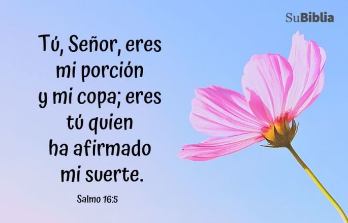 31 Versículos Para Mejorar Tu Día Hoy Biblia