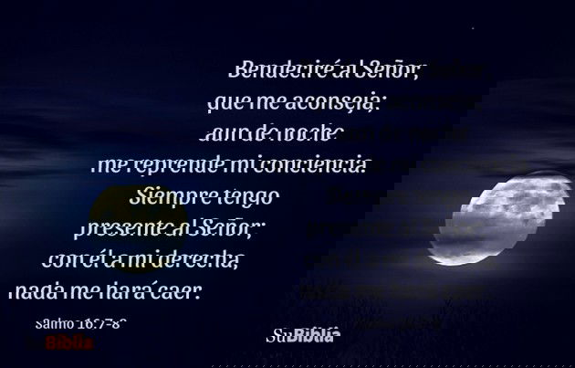 Bendeciré al Señor, que me aconseja; aun de noche me reprende mi conciencia. Siempre tengo presente al Señor; con él a mi derecha, nada me hará caer. (Salmo 16:7-8)
