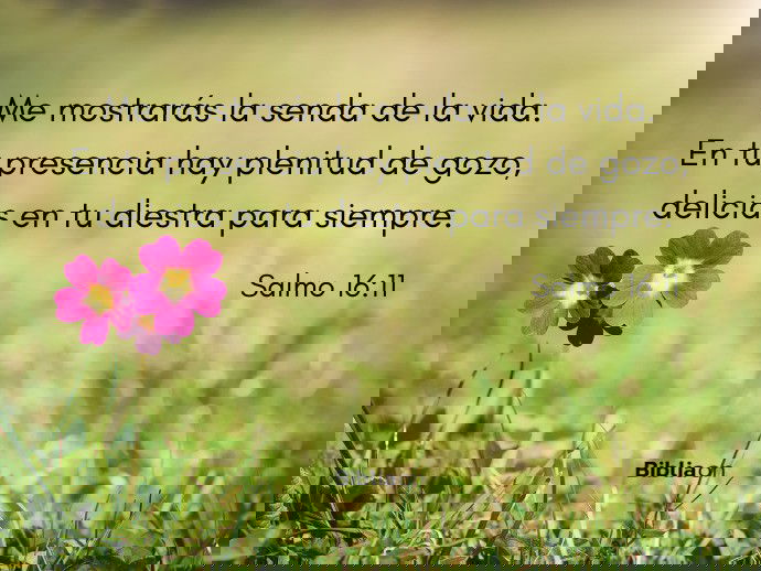 Me mostrarás la senda de la vida. En tu presencia hay plenitud de gozo, delicias en tu diestra para siempre. (Salmo 16:11)