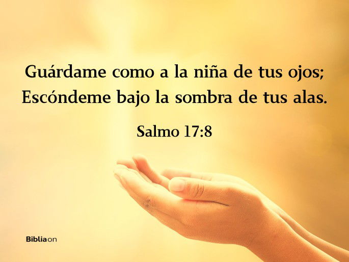 Guárdame como a la niña de tus ojos; Escóndeme bajo la sombra de tus alas, (Salmo 17:8)