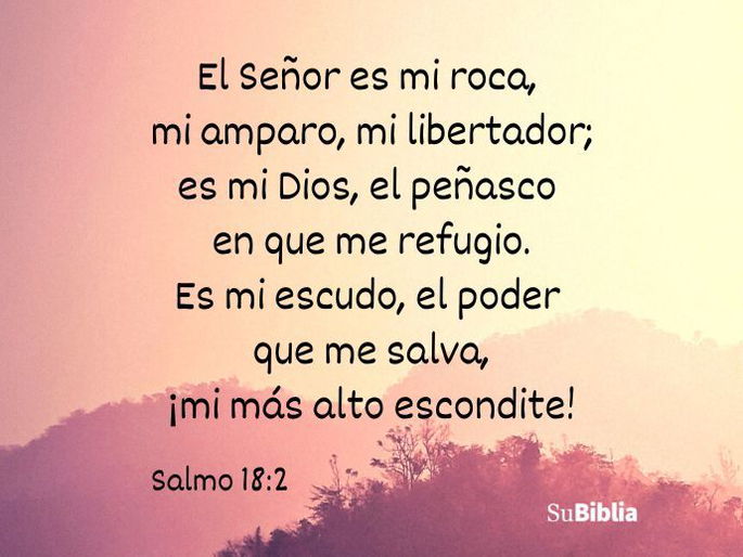 El Señor es mi roca, mi amparo, mi libertador; es mi Dios, el peñasco en que me refugio. Es mi escudo, el poder que me salva, ¡mi más alto escondite! (Salmo 18:2)