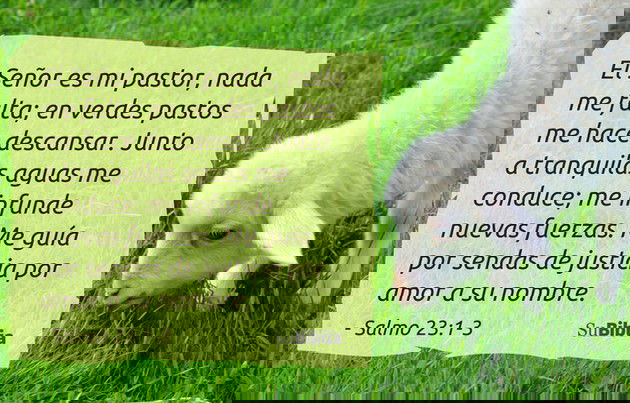 El Señor es mi pastor, nada me falta; en verdes pastos me hace descansar. Junto a tranquilas aguas me conduce; me infunde nuevas fuerzas. Me guía por sendas de justicia por amor a su nombre. (Salmo 23:1-3)