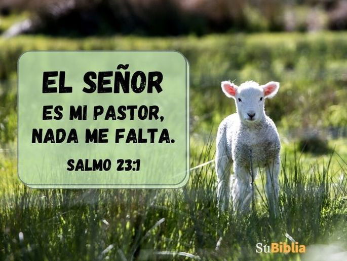 El Señor es mi pastor, nada me falta. (Salmo 23:1)