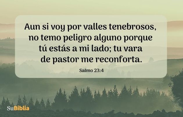 Aun si voy por valles tenebrosos, no temo peligro alguno porque tú estás a mi lado; tu vara de pastor me reconforta. (Salmo 23:4)