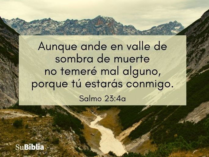 Aunque ande en valle de sombra de muerte no temeré mal alguno, porque tú estarás conmigo. (Salmo 23:4a, versión Reina Valera Actualizada)