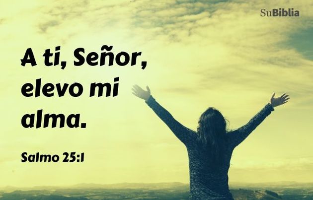 A ti, Señor, elevo mi alma. (Salmo 25:1)