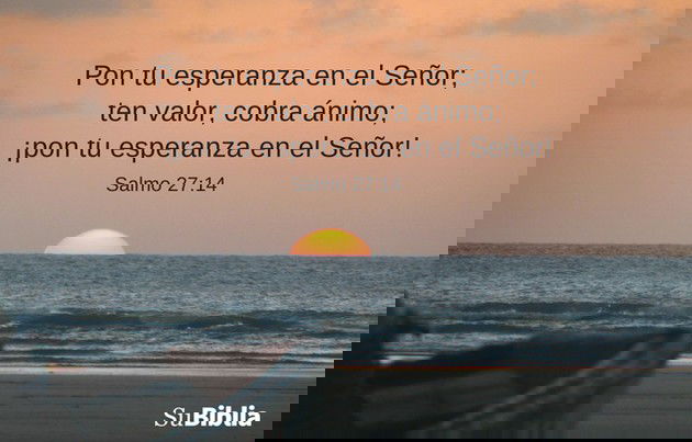 Pon tu esperanza en el Señor; ten valor, cobra ánimo; ¡pon tu esperanza en el Señor! (Salmo 27:14)