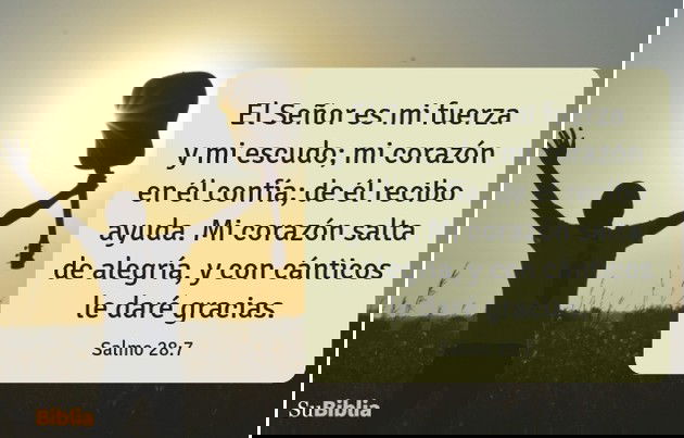 El Señor es mi fuerza y mi escudo; mi corazón en él confía; de él recibo ayuda. Mi corazón salta de alegría, y con cánticos le daré gracias. (Salmo 28:7)
