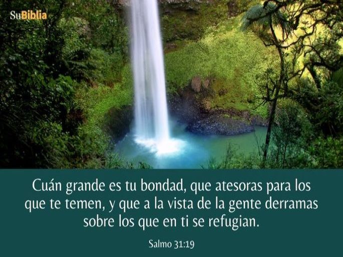 Cuán grande es tu bondad, que atesoras para los que te temen, y que a la vista de la gente derramas sobre los que en ti se refugian. (Salmo 31:19)