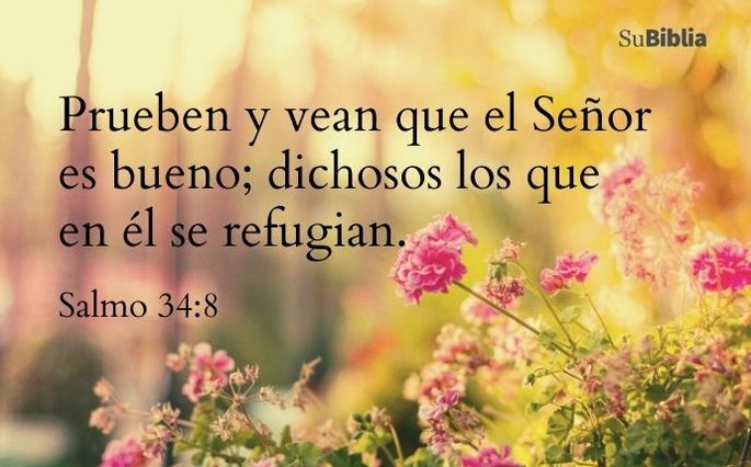 Bendiciones de buenos días mensajes para inspirar el día de hoy Biblia