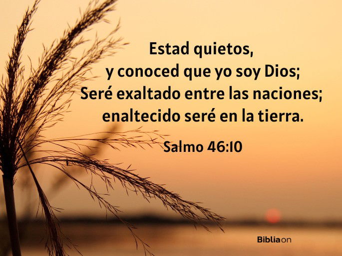 Estad quietos, y conoced que yo soy Dios; Seré exaltado entre las naciones; enaltecido seré en la tierra. (Salmo 46:10)
